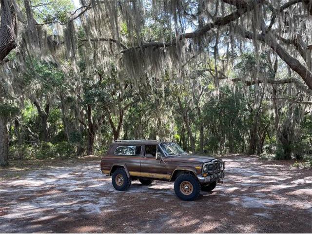 1979 Jeep Cherokee Chief (CC-2108757) for sale in Cadillac, Michigan