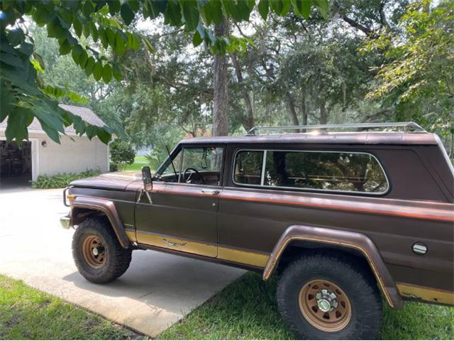 1979 Jeep Cherokee Chief (CC-2108757) for sale in Cadillac, Michigan