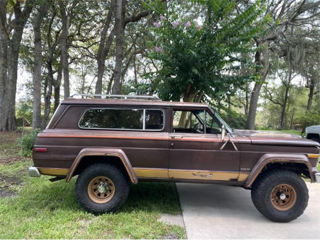 1979 Jeep Cherokee Chief (CC-2108757) for sale in Cadillac, Michigan