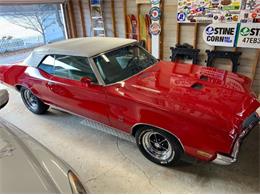1971 Buick Skylark (CC-2108781) for sale in Cadillac, Michigan
