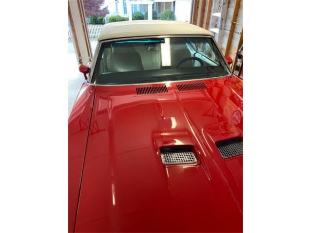 1971 Buick Skylark (CC-2108781) for sale in Cadillac, Michigan