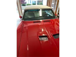 1971 Buick Skylark (CC-2108781) for sale in Cadillac, Michigan