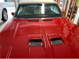 1971 Buick Skylark (CC-2108781) for sale in Cadillac, Michigan