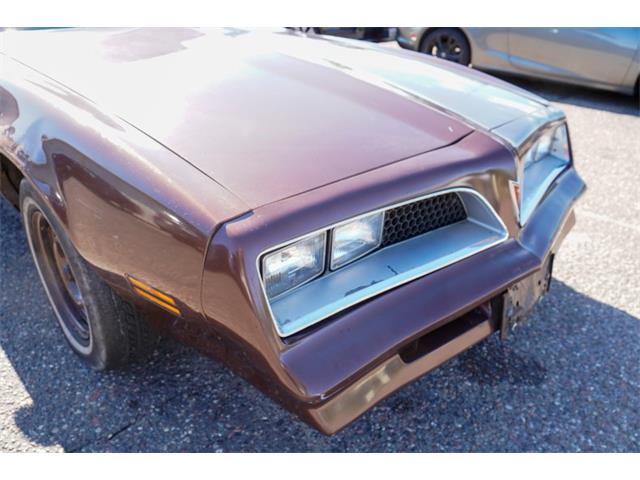 1977 Pontiac Firebird (CC-2108787) for sale in Ramsey, Minnesota