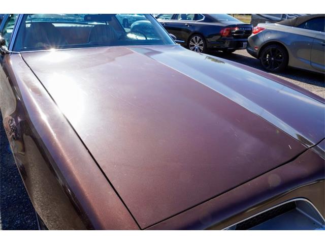 1977 Pontiac Firebird (CC-2108787) for sale in Ramsey, Minnesota