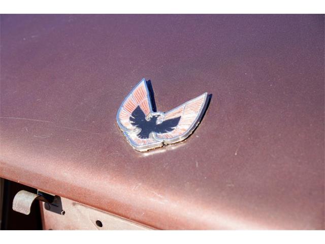 1977 Pontiac Firebird (CC-2108787) for sale in Ramsey, Minnesota