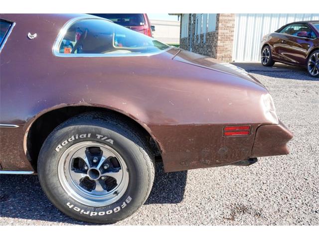 1977 Pontiac Firebird (CC-2108787) for sale in Ramsey, Minnesota