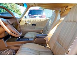 1977 Pontiac Firebird (CC-2108787) for sale in Ramsey, Minnesota