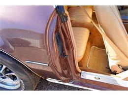 1977 Pontiac Firebird (CC-2108787) for sale in Ramsey, Minnesota