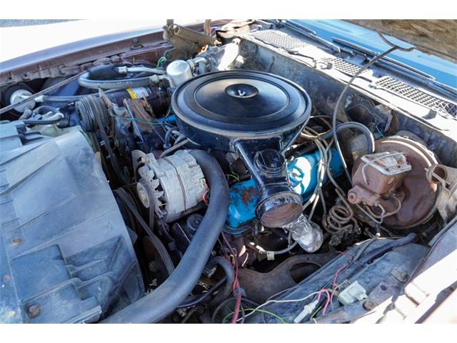 1977 Pontiac Firebird (CC-2108787) for sale in Ramsey, Minnesota
