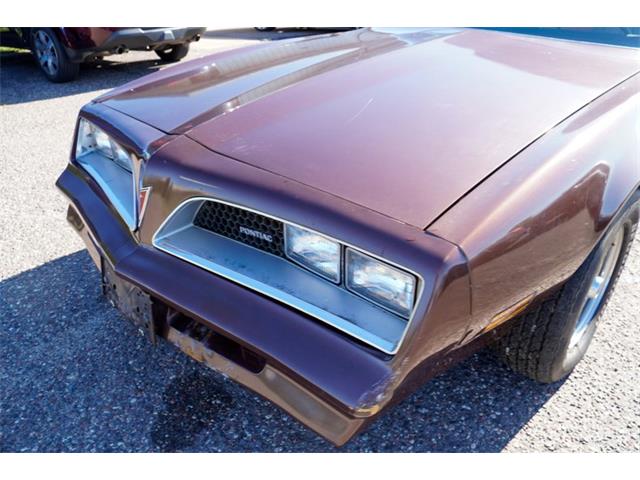 1977 Pontiac Firebird (CC-2108787) for sale in Ramsey, Minnesota