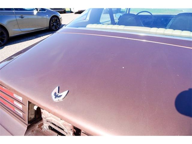 1977 Pontiac Firebird (CC-2108787) for sale in Ramsey, Minnesota