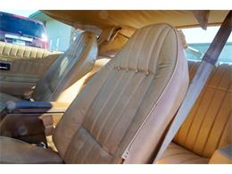 1977 Pontiac Firebird (CC-2108787) for sale in Ramsey, Minnesota
