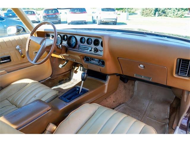 1977 Pontiac Firebird (CC-2108787) for sale in Ramsey, Minnesota