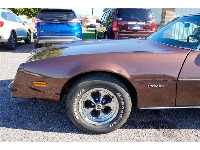 1977 Pontiac Firebird (CC-2108787) for sale in Ramsey, Minnesota