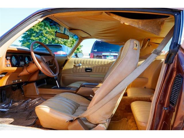 1977 Pontiac Firebird (CC-2108787) for sale in Ramsey, Minnesota