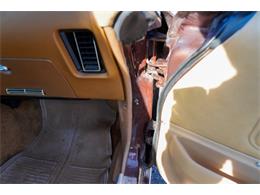 1977 Pontiac Firebird (CC-2108787) for sale in Ramsey, Minnesota