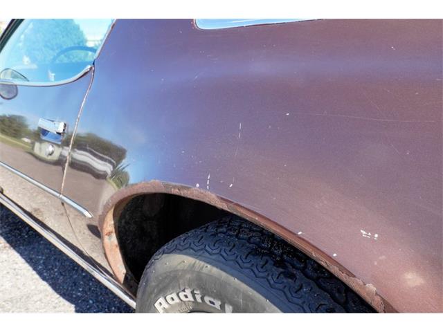 1977 Pontiac Firebird (CC-2108787) for sale in Ramsey, Minnesota