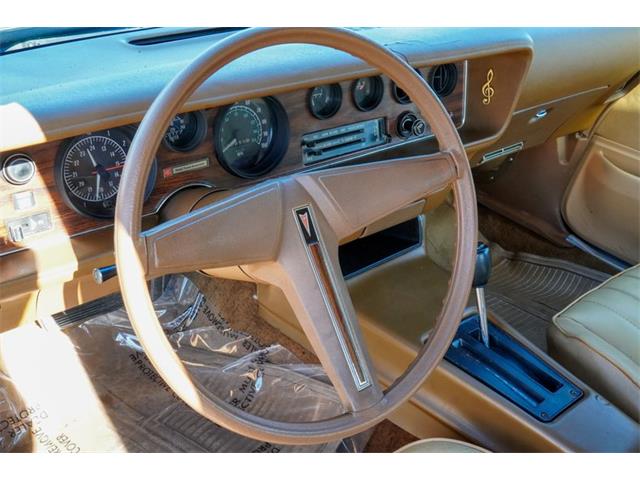 1977 Pontiac Firebird (CC-2108787) for sale in Ramsey, Minnesota