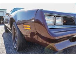 1977 Pontiac Firebird (CC-2108787) for sale in Ramsey, Minnesota