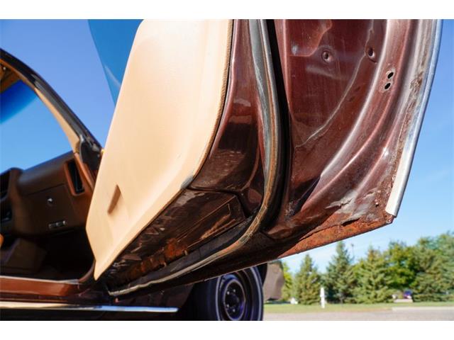 1977 Pontiac Firebird (CC-2108787) for sale in Ramsey, Minnesota