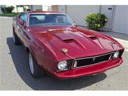 1971 Ford Mustang (CC-2108790) for sale in Cadillac, Michigan