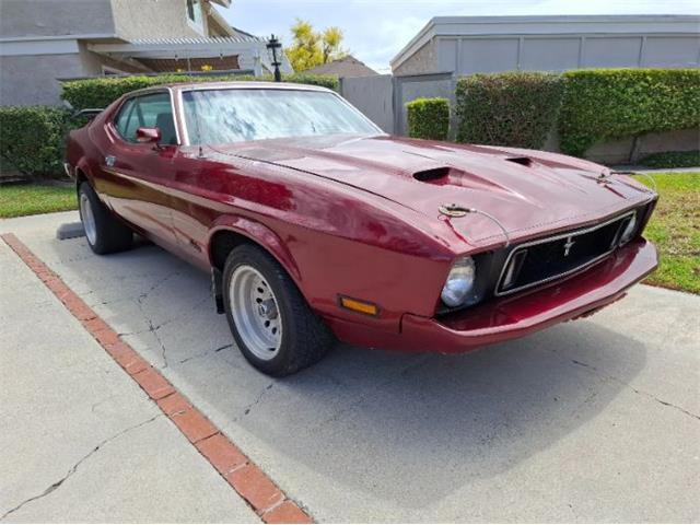 1971 Ford Mustang (CC-2108790) for sale in Cadillac, Michigan