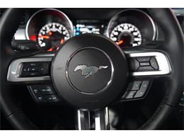 2023 Ford Mustang (CC-2108798) for sale in Biloxi, Mississippi