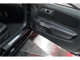 2023 Ford Mustang (CC-2108798) for sale in Biloxi, Mississippi