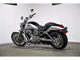 2003 Harley-Davidson V-Rod (CC-2100890) for sale in Bristol, Pennsylvania