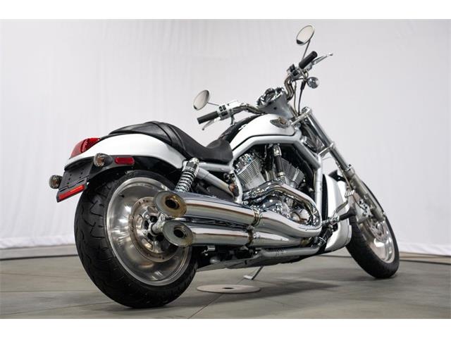 2003 Harley-Davidson V-Rod (CC-2100890) for sale in Bristol, Pennsylvania