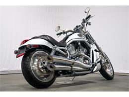 2003 Harley-Davidson V-Rod (CC-2100890) for sale in Bristol, Pennsylvania