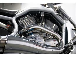 2003 Harley-Davidson V-Rod (CC-2100890) for sale in Bristol, Pennsylvania