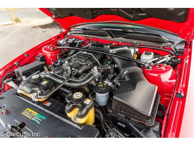 2007 Ford Shelby GT500  (CC-2108915) for sale in Concord, California