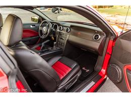 2007 Ford Shelby GT500  (CC-2108915) for sale in Concord, California