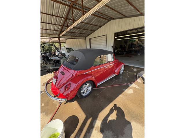 1965 Volkswagen Beetle Convertible (CC-2108984) for sale in Grandview, Texas