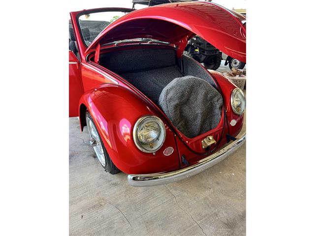 1965 Volkswagen Beetle Convertible (CC-2108984) for sale in Grandview, Texas