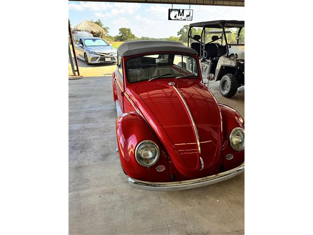 1965 Volkswagen Beetle Convertible (CC-2108984) for sale in Grandview, Texas