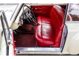 1953 Nash Healey (CC-2109006) for sale in Beverly Hills, California