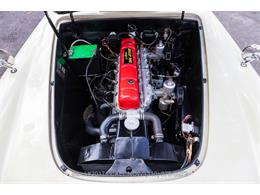 1953 Nash Healey (CC-2109006) for sale in Beverly Hills, California