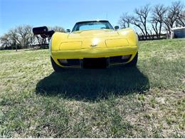 1977 Chevrolet Corvette (CC-2109012) for sale in Cadillac, Michigan
