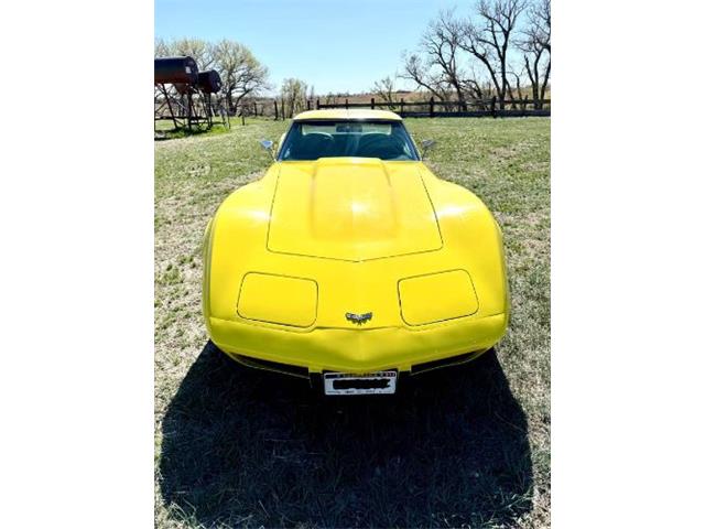 1977 Chevrolet Corvette (CC-2109012) for sale in Cadillac, Michigan