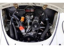 1963 Volkswagen Beetle (CC-2109017) for sale in Cadillac, Michigan