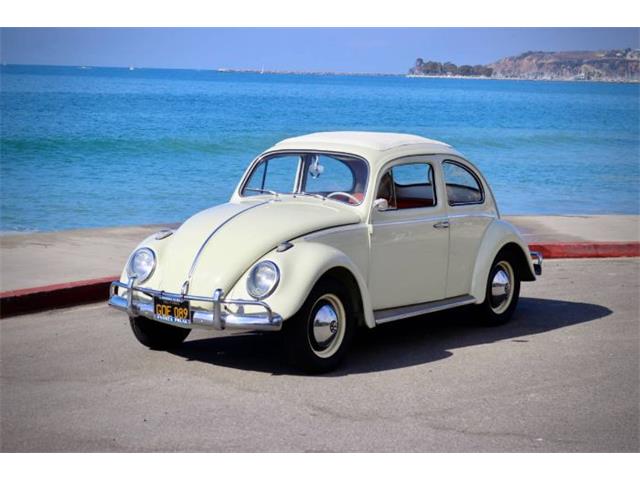 1963 Volkswagen Beetle (CC-2109017) for sale in Cadillac, Michigan