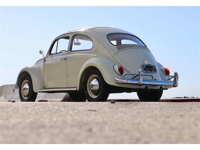 1963 Volkswagen Beetle (CC-2109017) for sale in Cadillac, Michigan