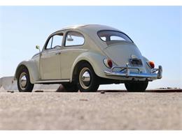 1963 Volkswagen Beetle (CC-2109017) for sale in Cadillac, Michigan