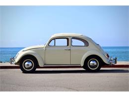 1963 Volkswagen Beetle (CC-2109017) for sale in Cadillac, Michigan