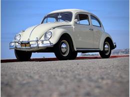 1963 Volkswagen Beetle (CC-2109017) for sale in Cadillac, Michigan