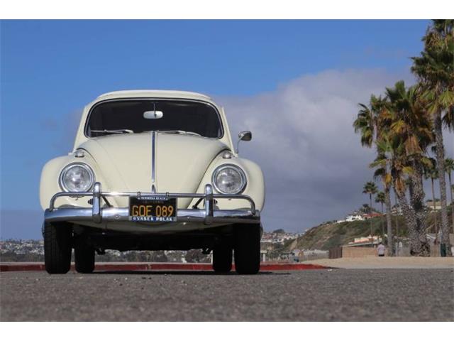 1963 Volkswagen Beetle (CC-2109017) for sale in Cadillac, Michigan