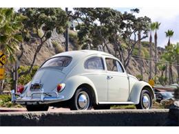 1963 Volkswagen Beetle (CC-2109017) for sale in Cadillac, Michigan